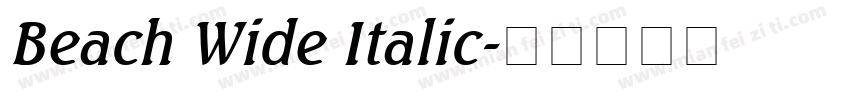 Beach Wide Italic字体转换